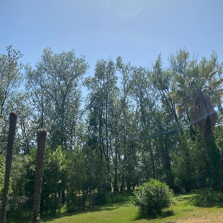 Chalet En Pleine Nature La Roquette-sur-Siagne Eksteriør billede