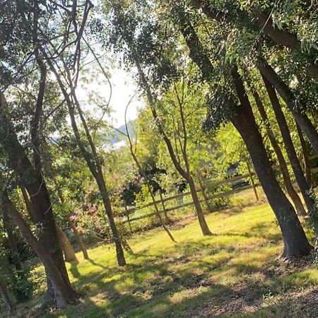 Chalet En Pleine Nature La Roquette-sur-Siagne Eksteriør billede