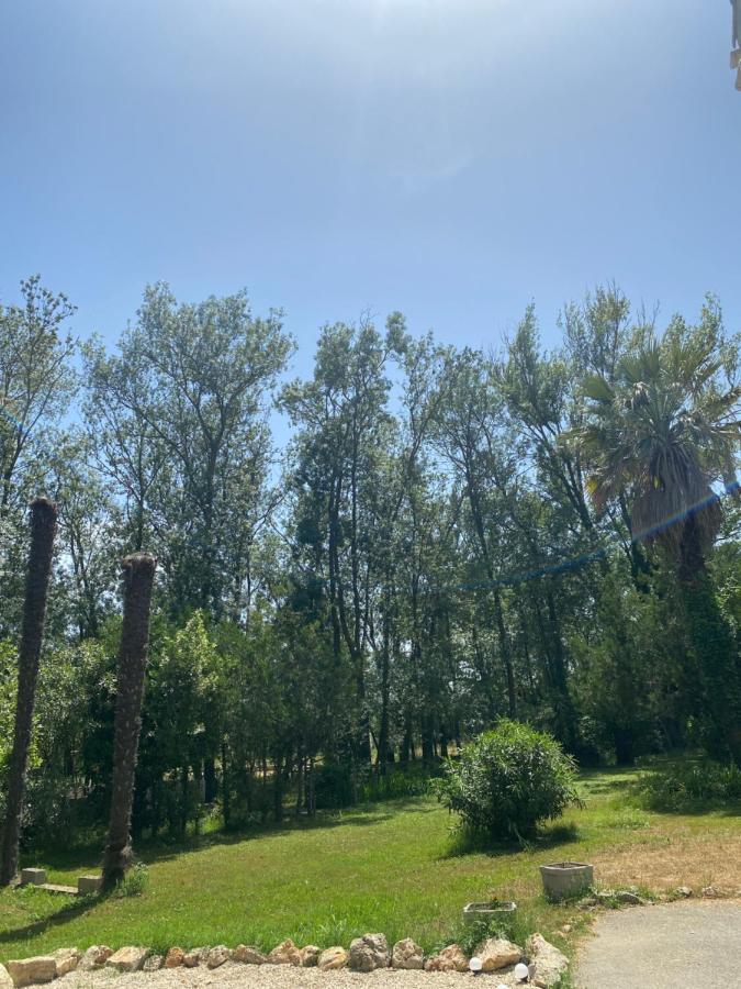 Chalet En Pleine Nature La Roquette-sur-Siagne Eksteriør billede