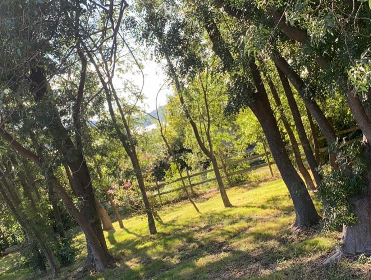 Chalet En Pleine Nature La Roquette-sur-Siagne Eksteriør billede